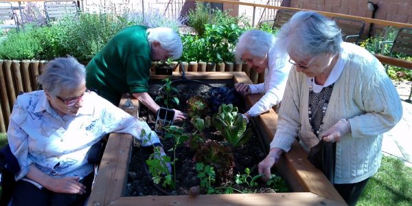anzani-al-lavoro-nel-giardino-alzheimer